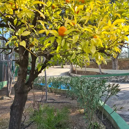 Tranquil Valencia 빌라