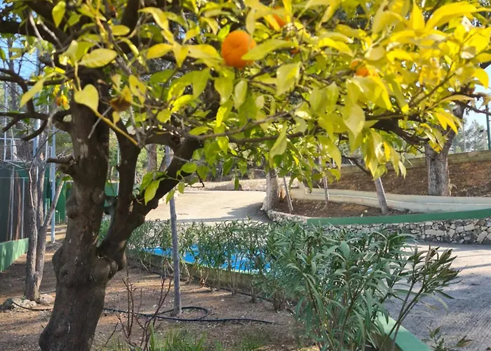 Tranquil Valencia וילה